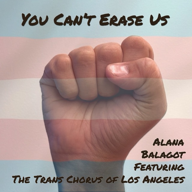 You Can't Erase Us — cover art